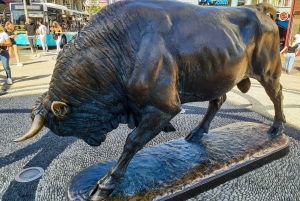 Istanbul: Asian Continent Highlights Walking Tour