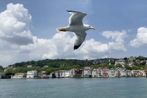 Istanbul: Private Food and City Tour with a Local Host