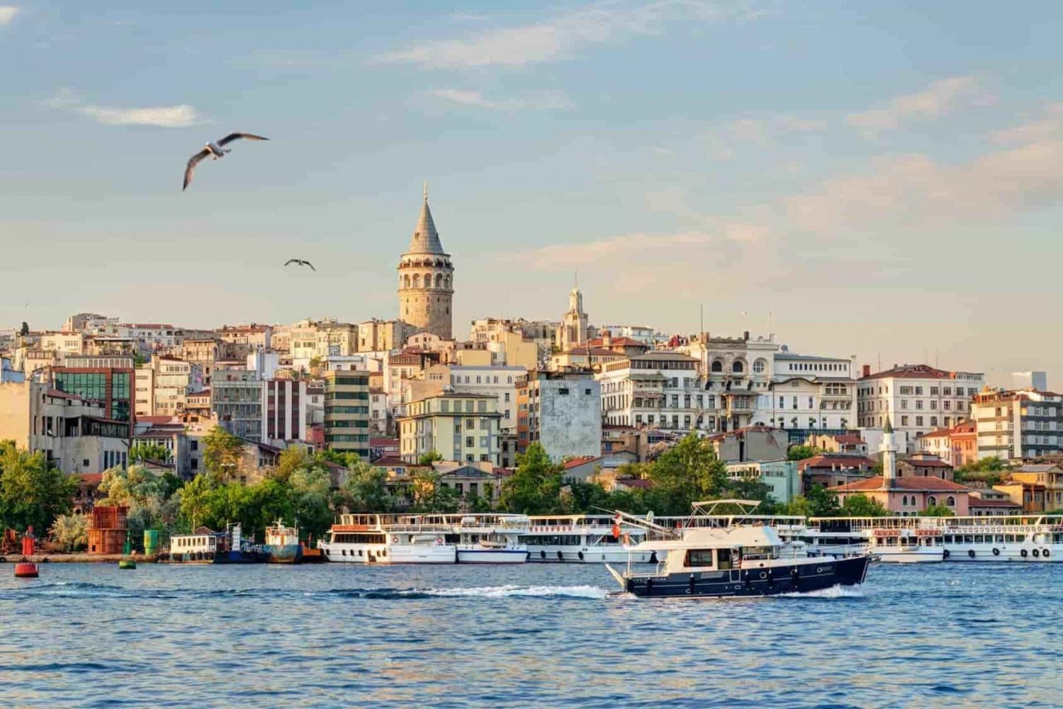 Hagia Sophia, Bosphorus cruise Blue Mosque, Small Group tour