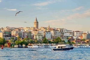 Hagia Sophia, Bosphorus cruise Blue Mosque, Small Group tour