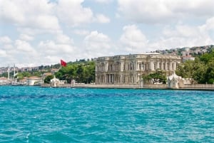 Hagia Sophia, Bosphorus cruise Blue Mosque, Small Group tour