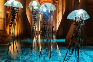 Istanbul: Basilica Cistern Guided Tour