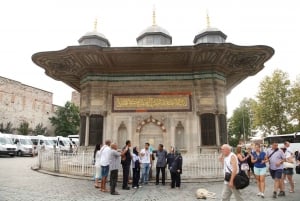 Hagia Sophia & Blue Mosque Half-day Guided, Small Group Tour