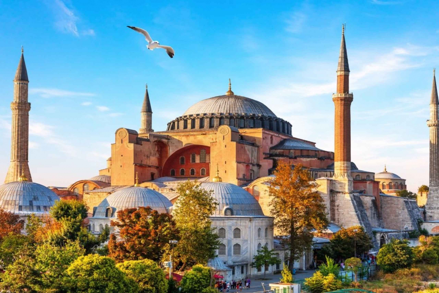 Istanbul: Blue Mosque Guided Tour & Basilica Cistern Ticket