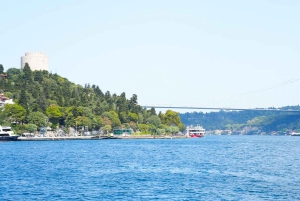 Istanbul: Basilica, Hagia Sophia, Blue Mosque Tour & Cruise