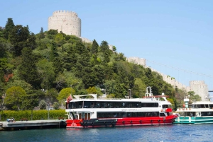 Istanbul: Basilica, Hagia Sophia, Blue Mosque Tour & Cruise