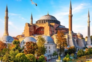 Istanbul: Basilica, Hagia Sophia, Blue Mosque Tour & Cruise