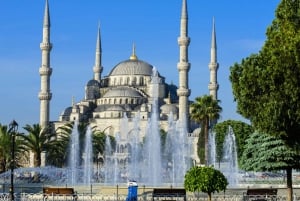 Istanbul: Basilica, Hagia Sophia, Blue Mosque Tour & Cruise
