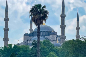 Istanbul: Basilica, Hagia Sophia, Blue Mosque Tour & Cruise
