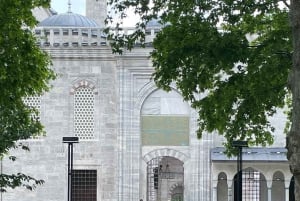 Istanbul: Basilica, Hagia Sophia, Blue Mosque Tour & Cruise