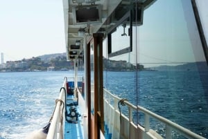 Istanbul: Basilica, Hagia Sophia, Blue Mosque Tour & Cruise