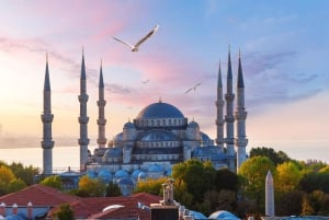 Istanbul: Bespoke Tour with Guide and Skip-the-Line Entries