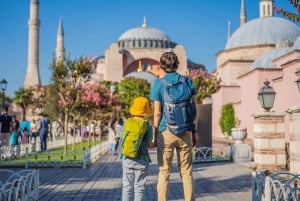 Istanbul: Bespoke Tour with Guide and Skip-the-Line Entries