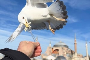 Istanbul: Best of The City Full-Day Tour with Transfers