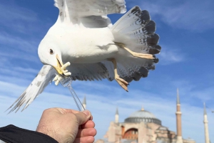 Istanbul Best : Private Guided Istanbul Cultural City Tour
