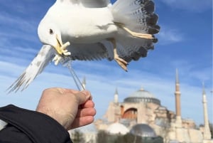 Istanbul Best : Private Guided Istanbul Cultural City Tour