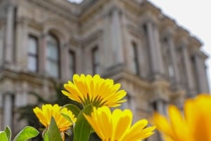 Istanbul: Beylerbeyi Palace Skip-the-Line Ticket & Audio …