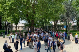 Istanbul: Basilica, Hagia Sophia, Blue Mosque Tour & Cruise