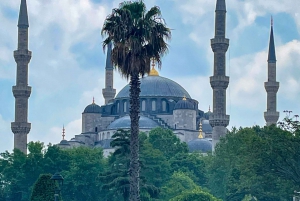Istanbul: Basilica, Hagia Sophia, Blue Mosque Tour & Cruise