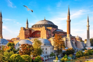 Istanbul: Blue Mosque Guided Tour & Basilica Cistern Ticket
