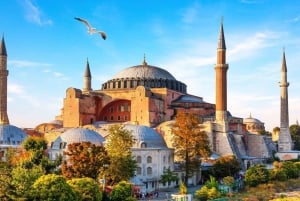 Istanbul: Blue Mosque Guided Tour & Basilica Cistern Ticket