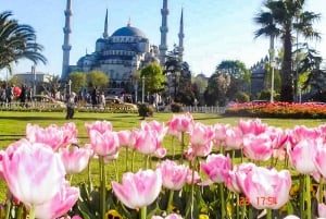 Istanbul: Blue Mosque & Hagia Sophia Guided Tour w/ Tickets