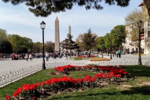 Istanbul: Blue Mosque & Hagia Sophia Guided Tour w/ Tickets