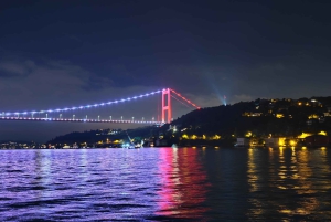 Istanbul Bosphorus: 3-Hour Day Cruise's with Asian Side Stop