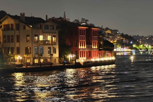 Istanbul Bosphorus: 3-Hour Day Cruise's with Asian Side Stop