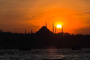 Istanbul Bosphorus: 3-Hour Day Cruise's with Asian Side Stop