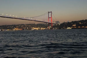 Istanbul Bosphorus: 3-Hour Day Cruise's with Asian Side Stop