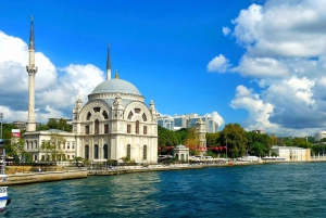 Istanbul: Bosphorus and Black Sea Cruise with Lunch