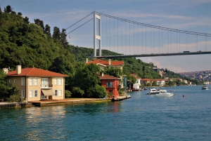 Istanbul: Bosphorus and Black Sea Cruise with Lunch