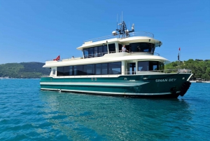 Istanbul: Bosphorus and Black Sea Cruise with Lunch