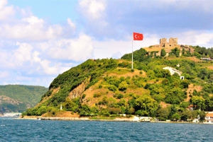 Istanbul: Bosphorus and Black Sea Cruise with Lunch