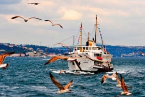 Istanbul: Private Bosphorus Cruise By Luxury Yacht