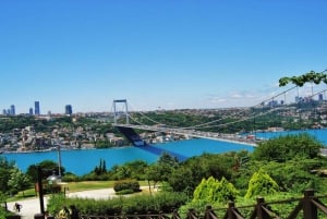Istanbul: Private Bosphorus Cruise By Luxury Yacht
