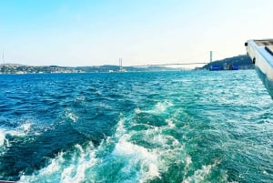 Istanbul: Bosphorus and Golden Horn Sunset Yacht Cruise