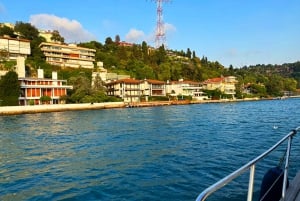 Istanbul: Bosphorus and Golden Horn Sunset Yacht Cruise