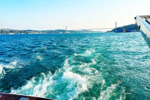 Istanbul: Bosphorus and Golden Horn Sunset Yacht Cruise