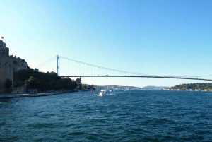Istanbul: Bosphorus and Golden Horn Boat Tour