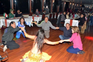 Istanbul: Bosphorus Dinner Cruise Incl. Drinks with Transfer