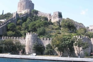 Istanbul: Bosphorus Boat Cruise