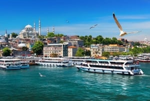 Istanbul: Guided Bosphorus Cruise & Golden Horn Bus Tour
