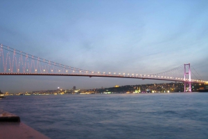 Istanbul: Bosphorus Cruise By Night