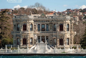 Istanbul: Bosphorus Cruise from Europe or Asia & Audio Guide