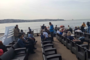 Istanbul: Bosphorus Cruise from Europe or Asia & Audio Guide