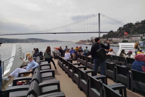 Istanbul: Bosphorus Cruise from Europe or Asia & Audio Guide