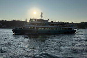 Istanbul: Bosphorus Cruise from Europe or Asia & Audio Guide