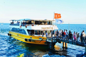 Istanbul: Bosphorus Cruise w/Audio Guide and Sunset Option